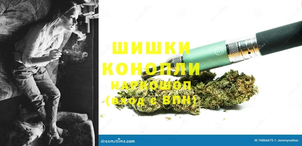 сатива Арсеньев