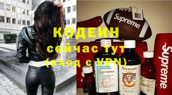 хмурый Аркадак