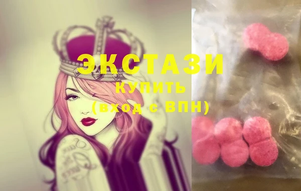 хмурый Аркадак