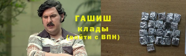 хмурый Аркадак