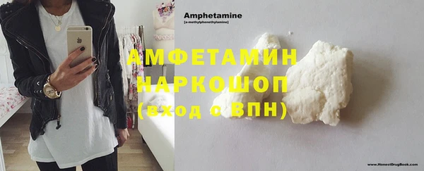 хмурый Аркадак