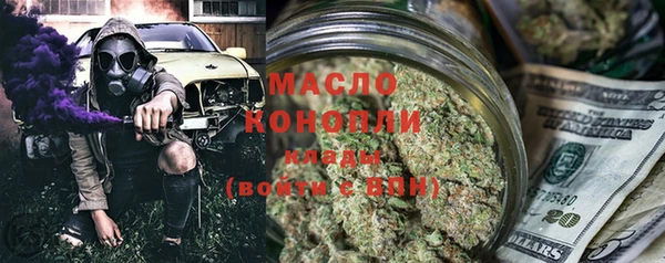 хмурый Аркадак