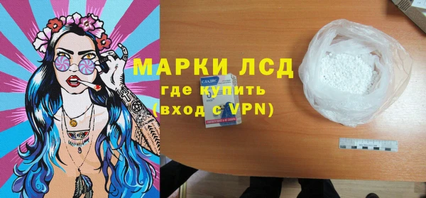 хмурый Аркадак