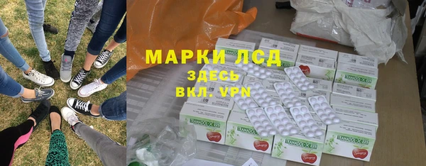 хмурый Аркадак