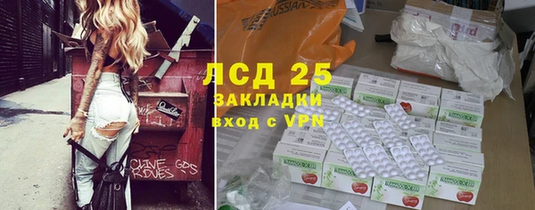 хмурый Аркадак