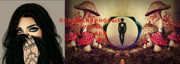 хмурый Аркадак