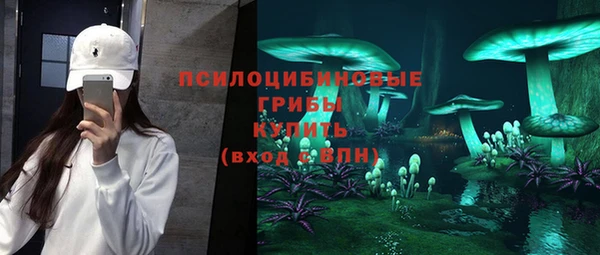гидропоника Армянск