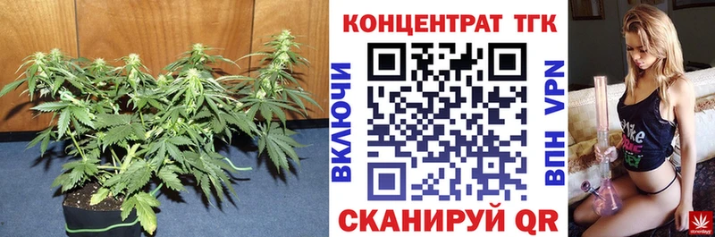 ТГК жижа  Полярные Зори 