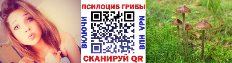 Галлюциногенные грибы MAGIC MUSHROOMS  Полярные Зори 